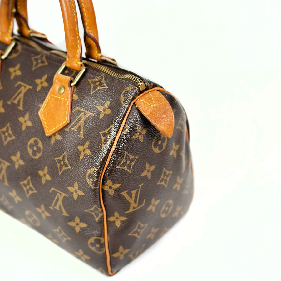 Louis Vuitton Speedy (25)