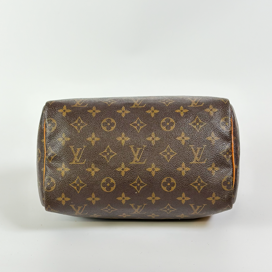 Louis Vuitton Speedy (25)