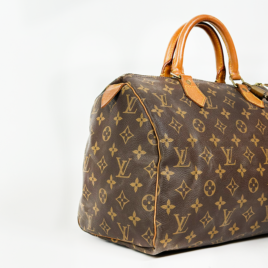 Louis Vuitton Speedy (30)