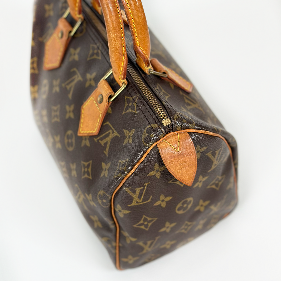 Louis Vuitton Speedy (25)