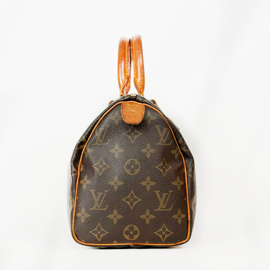 Louis Vuitton Speedy (25)