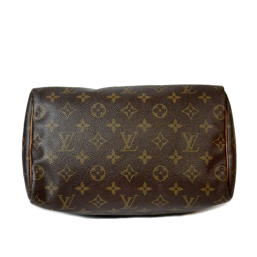 Louis Vuitton Speedy (25)