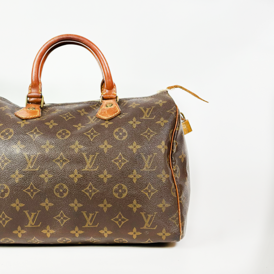 Louis Vuitton Speedy (30)