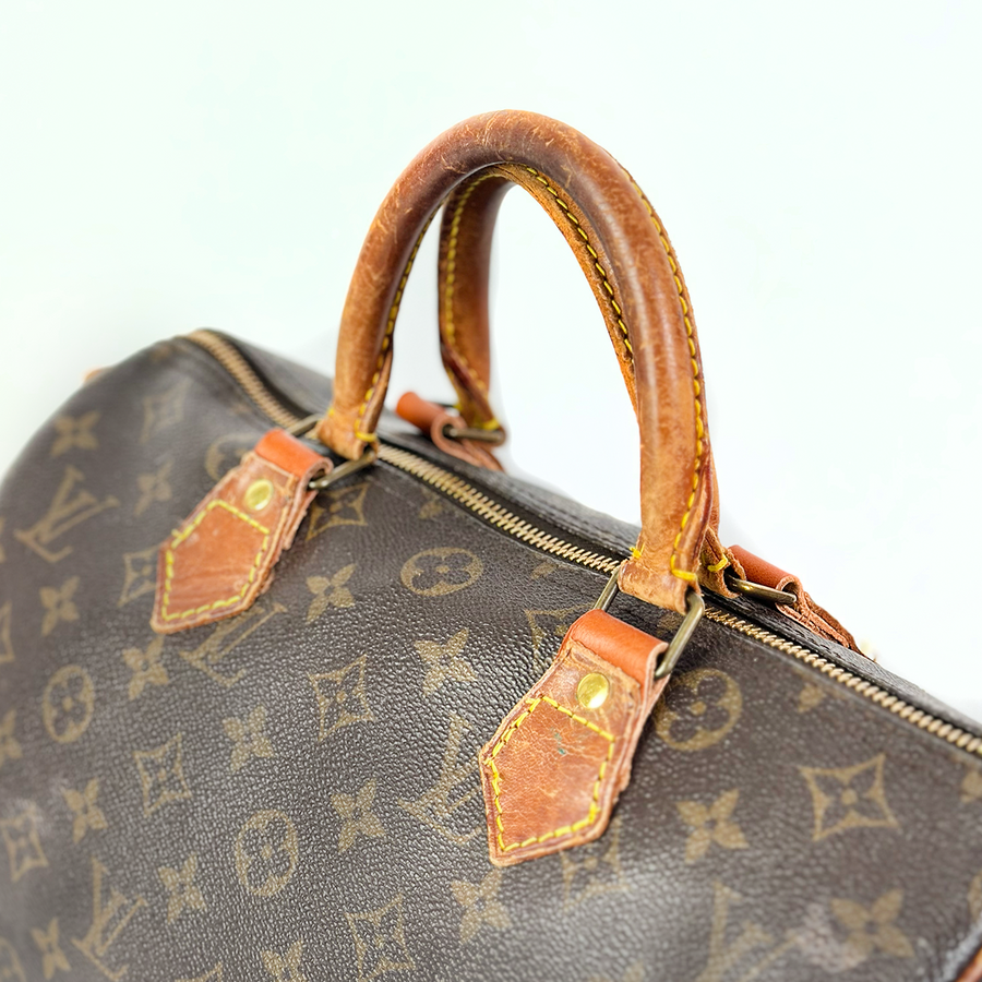 Louis Vuitton Speedy (30)