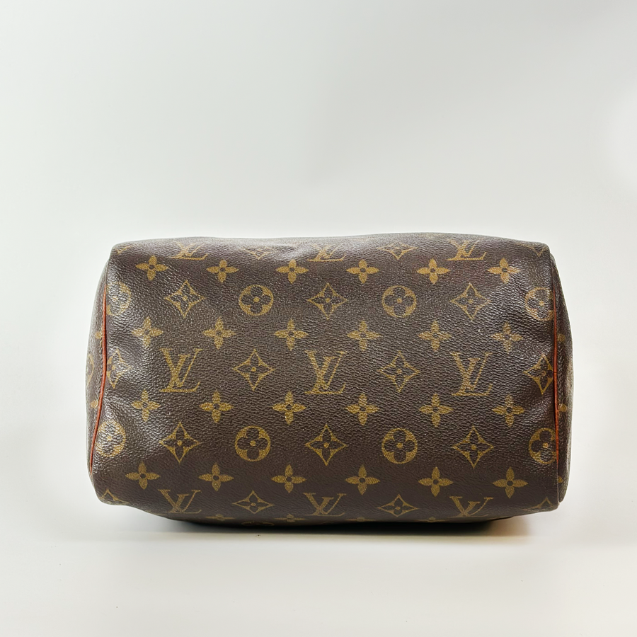 Louis Vuitton Speedy (25)