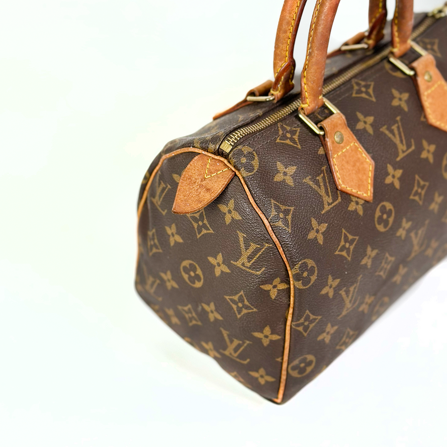 Louis Vuitton Speedy (25)