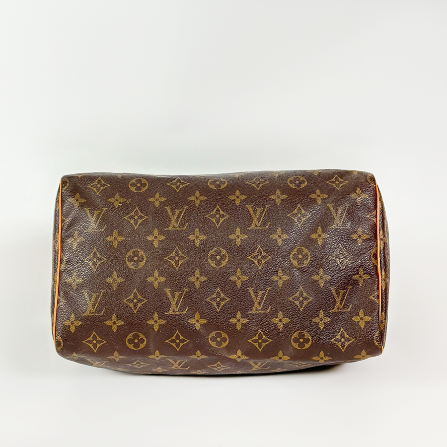 Louis Vuitton Speedy (30)