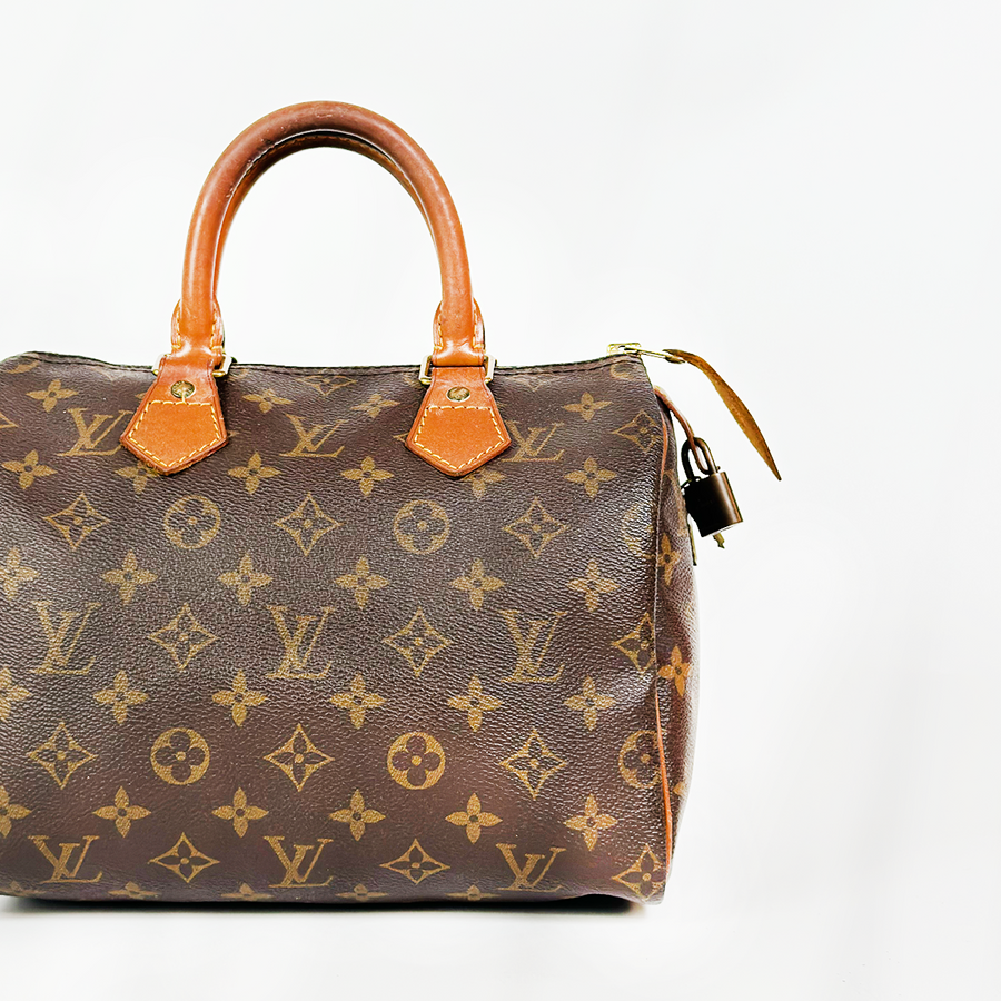 Louis Vuitton Speedy (25)