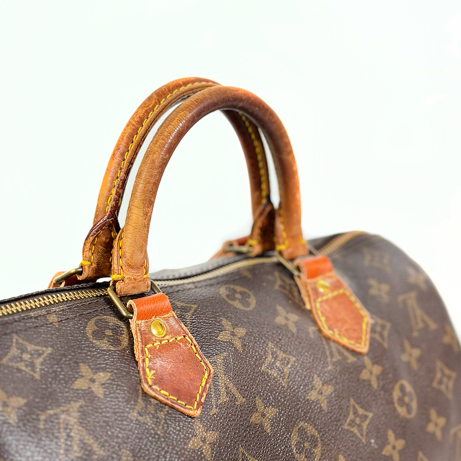 Louis Vuitton Speedy (30)