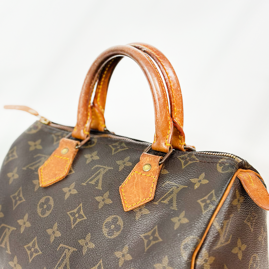 Louis Vuitton Speedy (25)