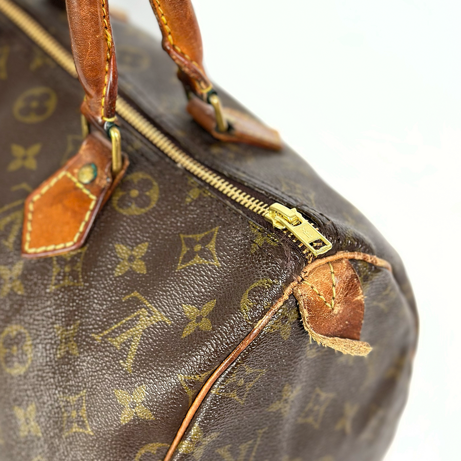 Louis Vuitton Speedy (30)