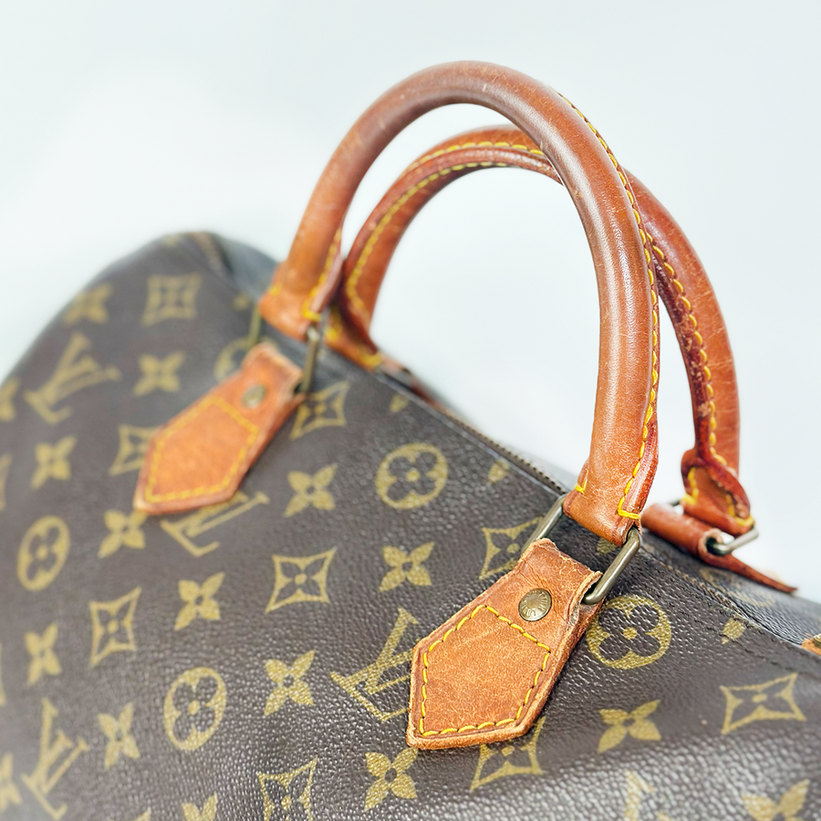 Louis Vuitton Speedy (30)