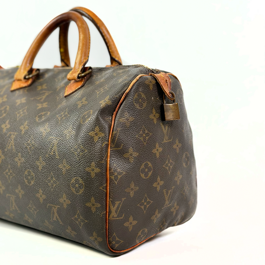 Louis Vuitton Speedy (30)