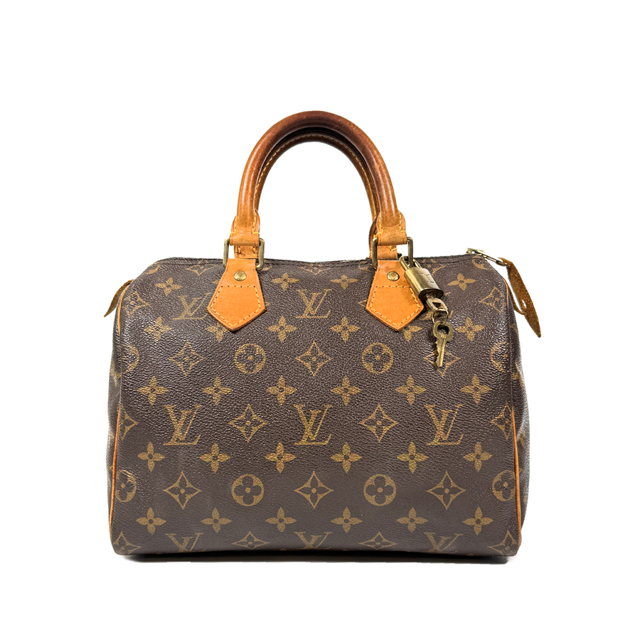 Louis Vuitton Speedy (25)