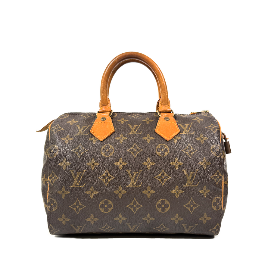 Louis Vuitton Speedy (25)