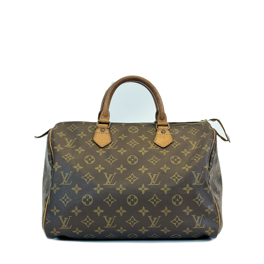 Louis Vuitton Speedy (30)