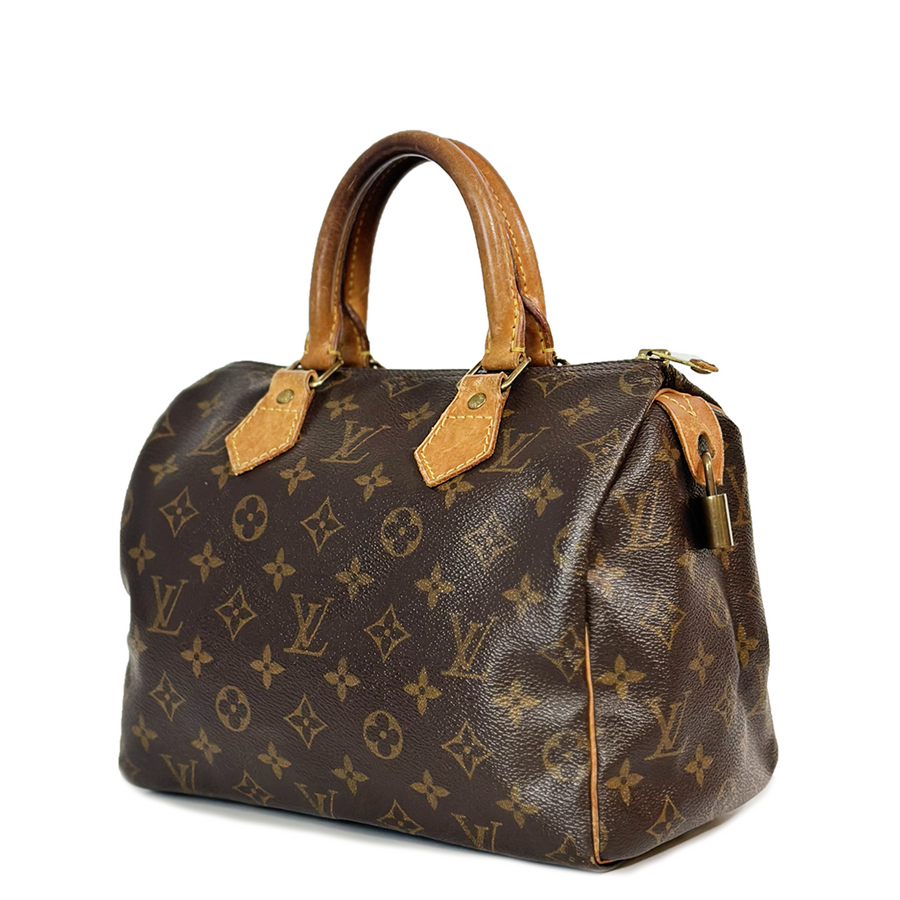 Louis Vuitton Speedy (25)