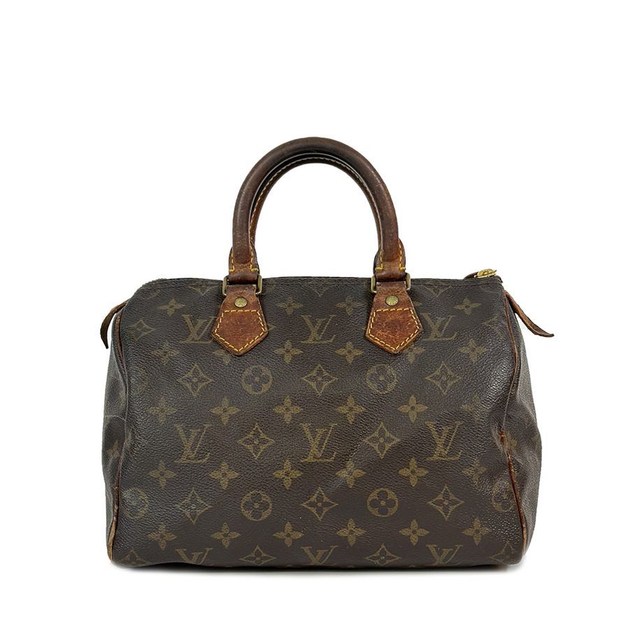 Louis Vuitton Speedy (25)