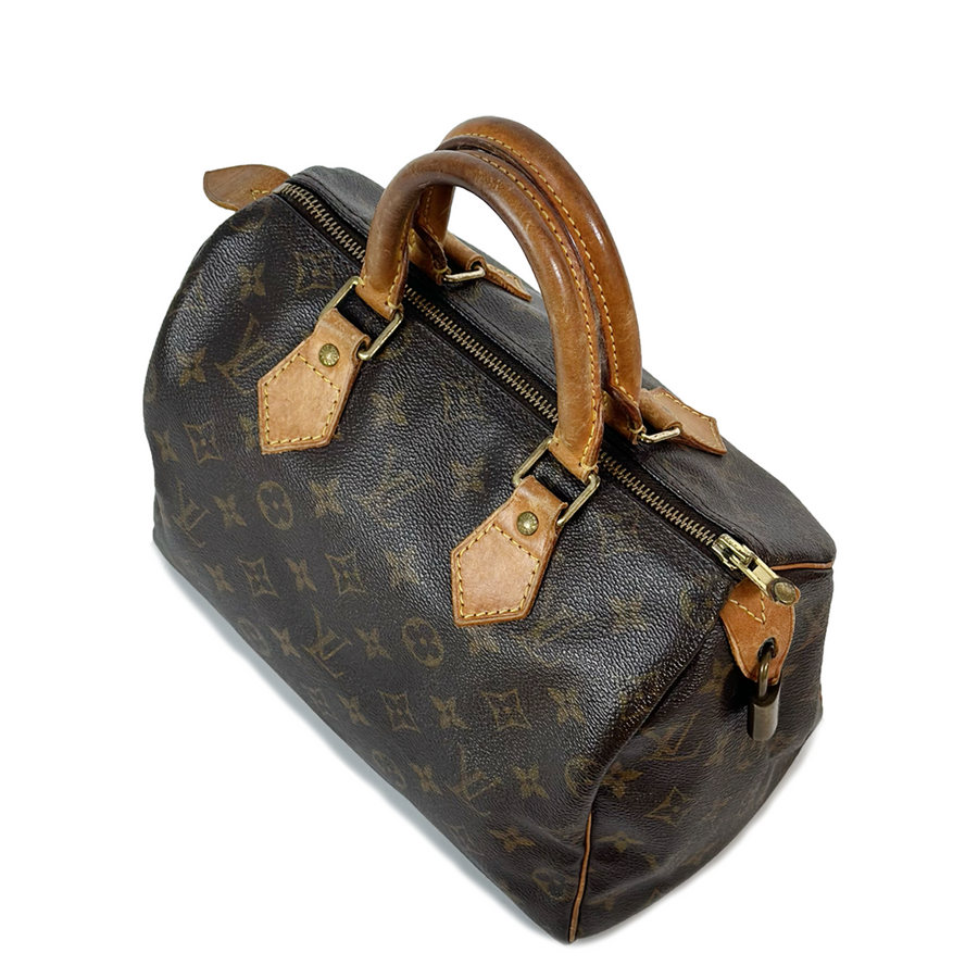 Louis Vuitton Speedy (25)