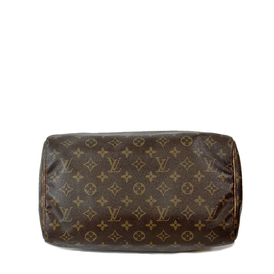 Louis Vuitton Speedy (30)