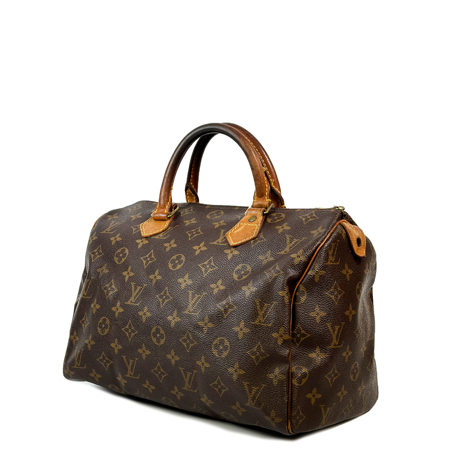 Louis Vuitton Speedy (30)