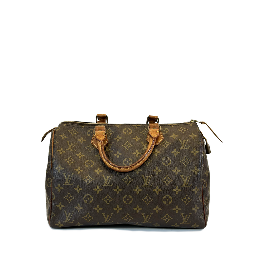 Louis Vuitton Speedy (30)