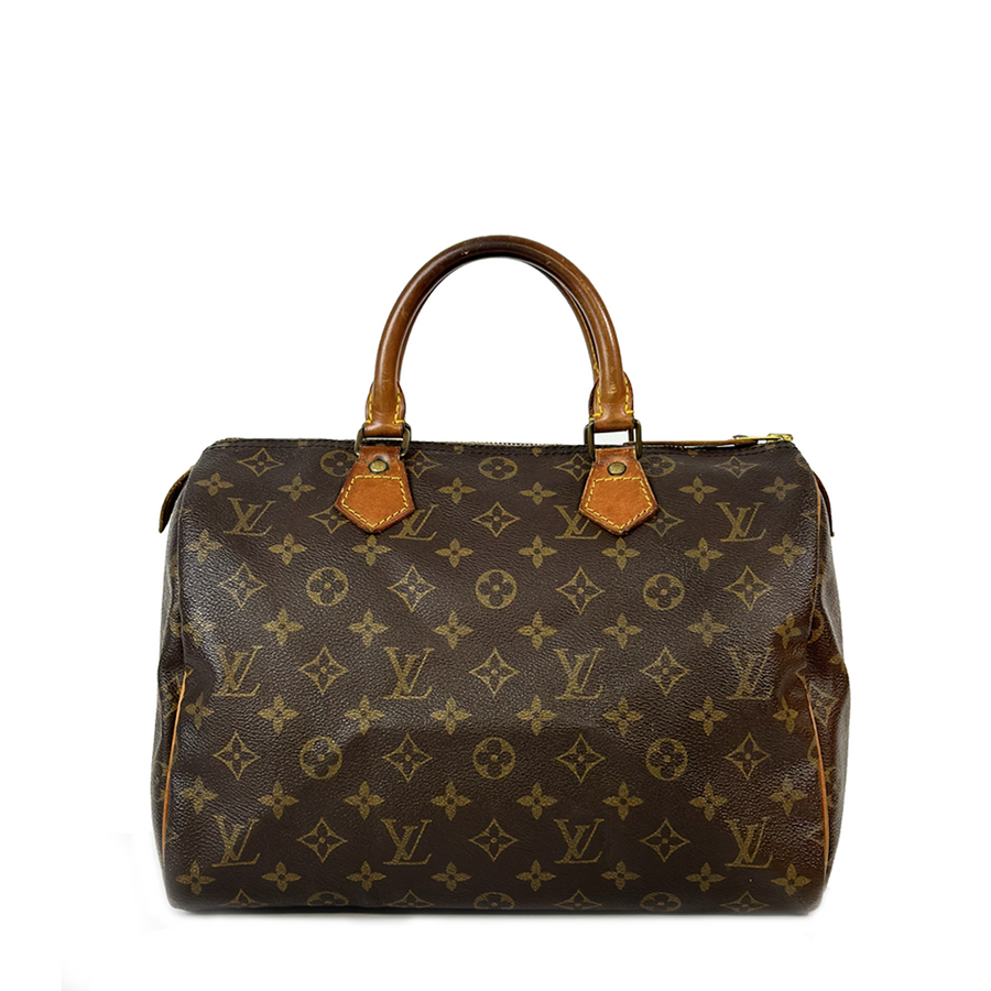 Louis Vuitton Speedy (30)