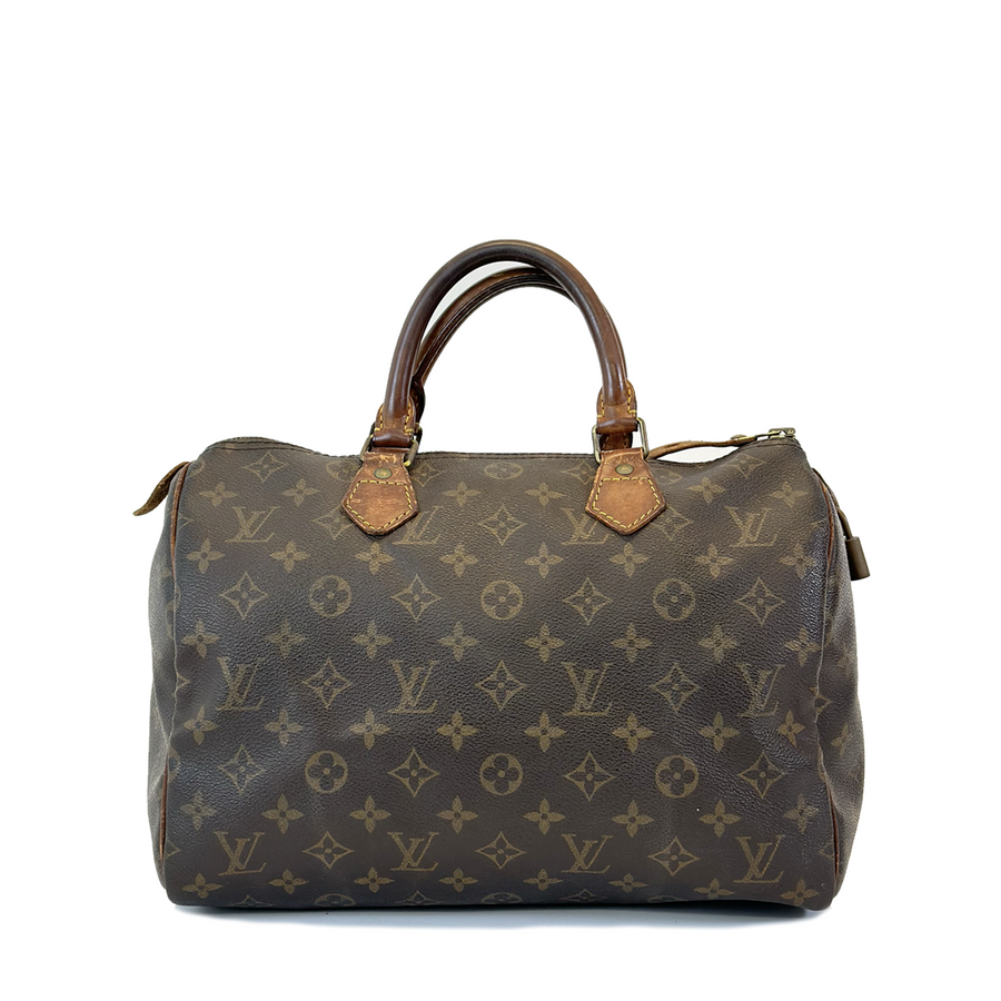 Louis Vuitton Speedy (30)