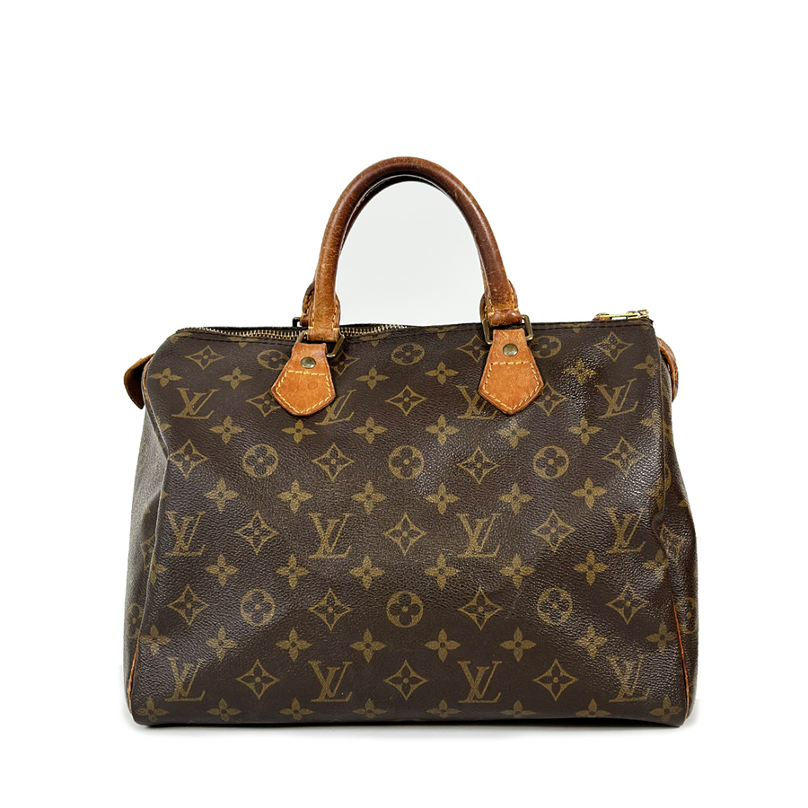 Louis Vuitton Speedy (30)