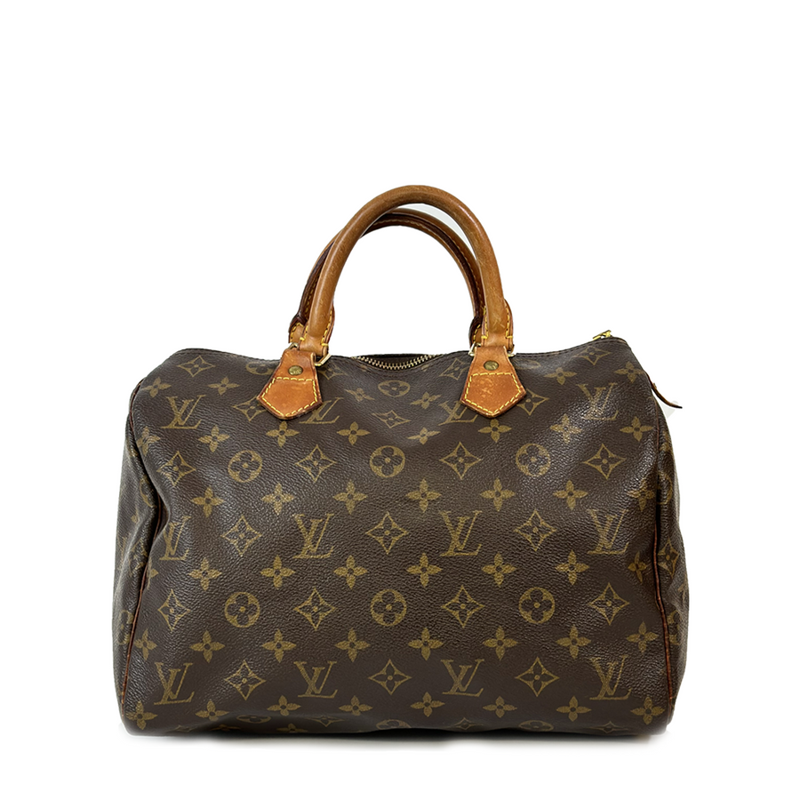 Louis Vuitton Speedy (30)