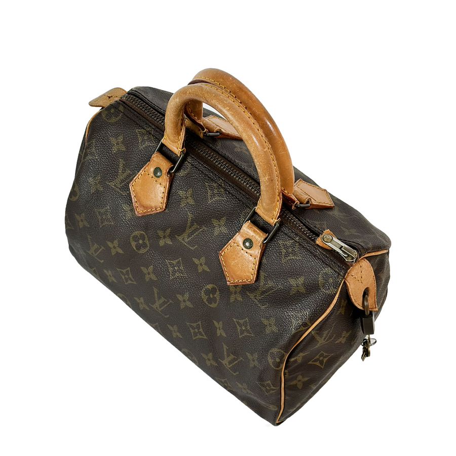 Louis Vuitton Speedy (25)