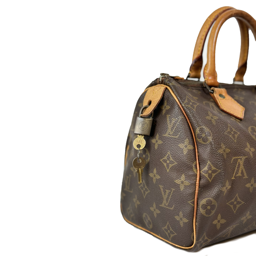 Louis Vuitton Speedy (25)