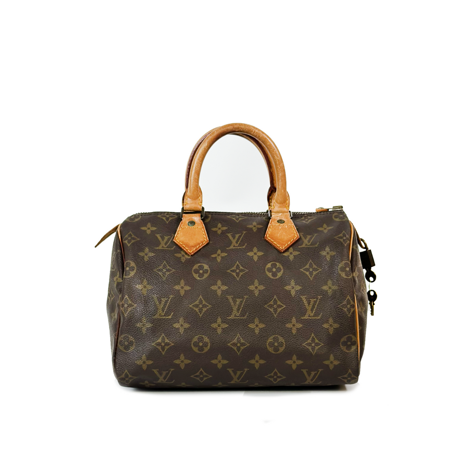 Louis Vuitton Speedy (25)