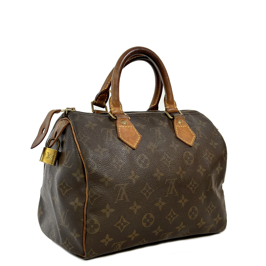 Louis Vuitton Speedy (25)