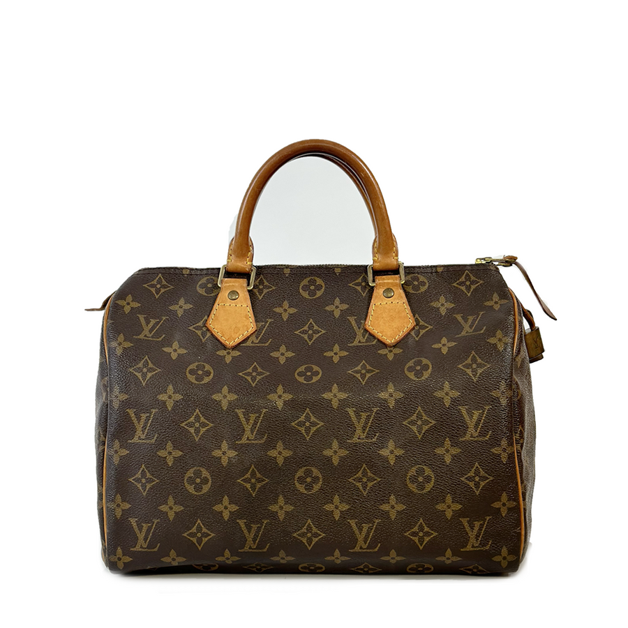 Louis Vuitton Speedy (30)