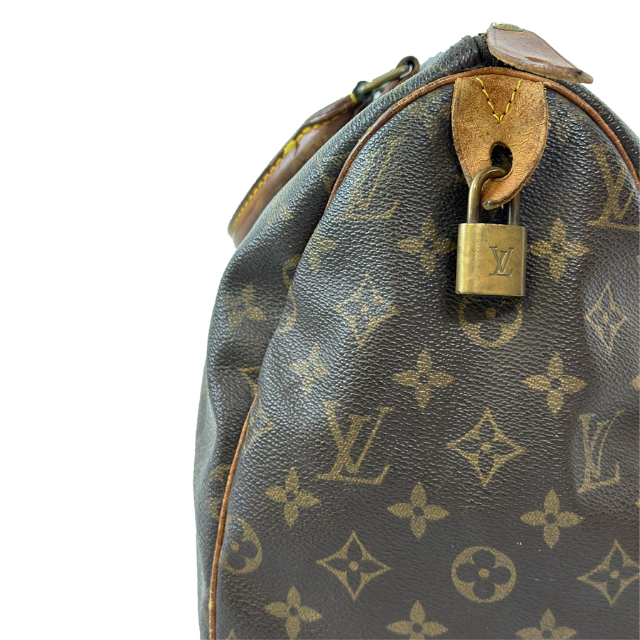 Louis Vuitton Speedy (30)