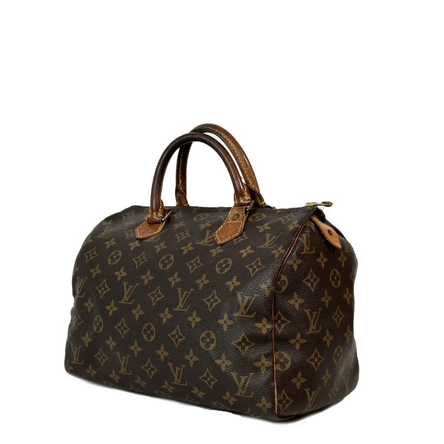 Louis Vuitton Speedy (30)