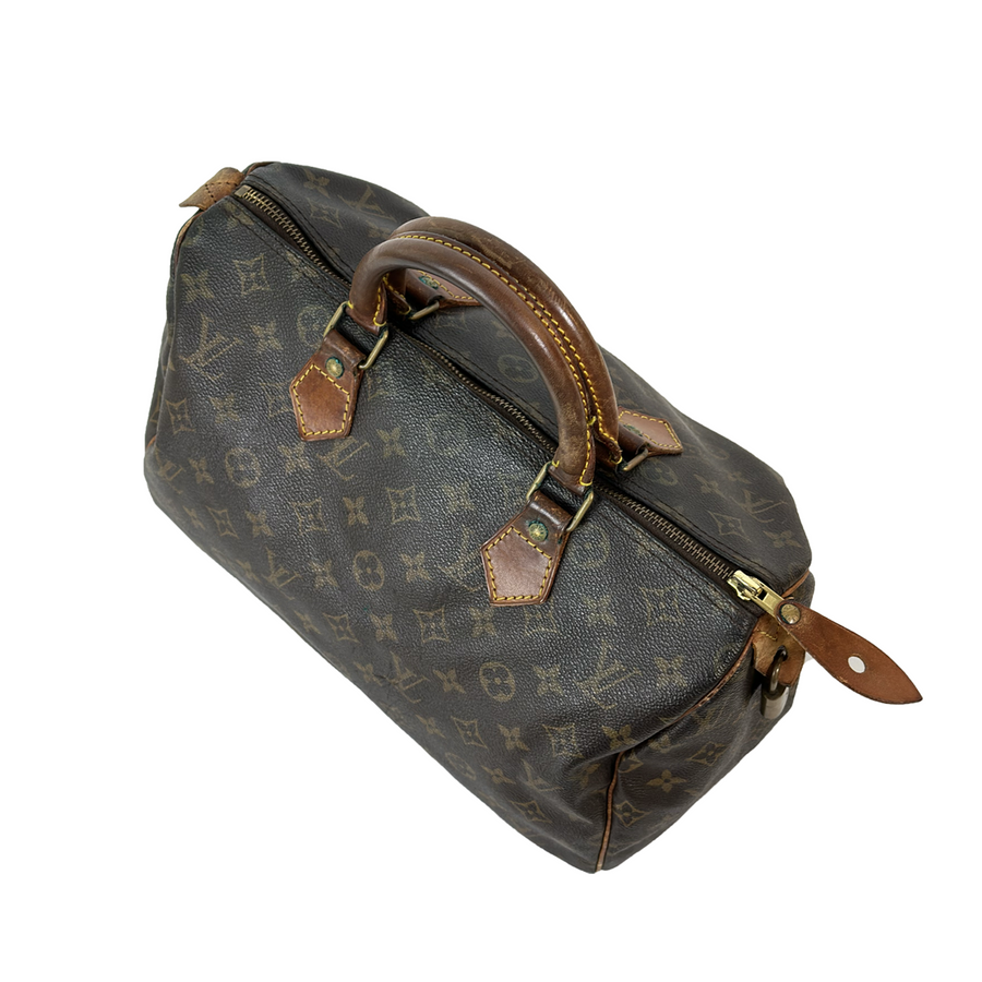 Louis Vuitton Speedy (30)