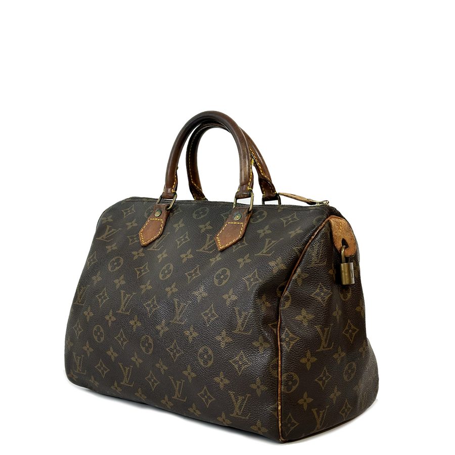 Louis Vuitton Speedy (30)