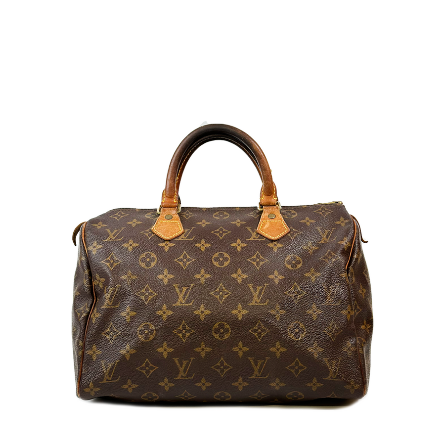 Louis Vuitton Speedy (30)