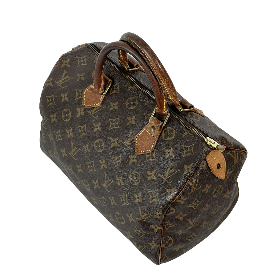 Louis Vuitton Speedy (30)