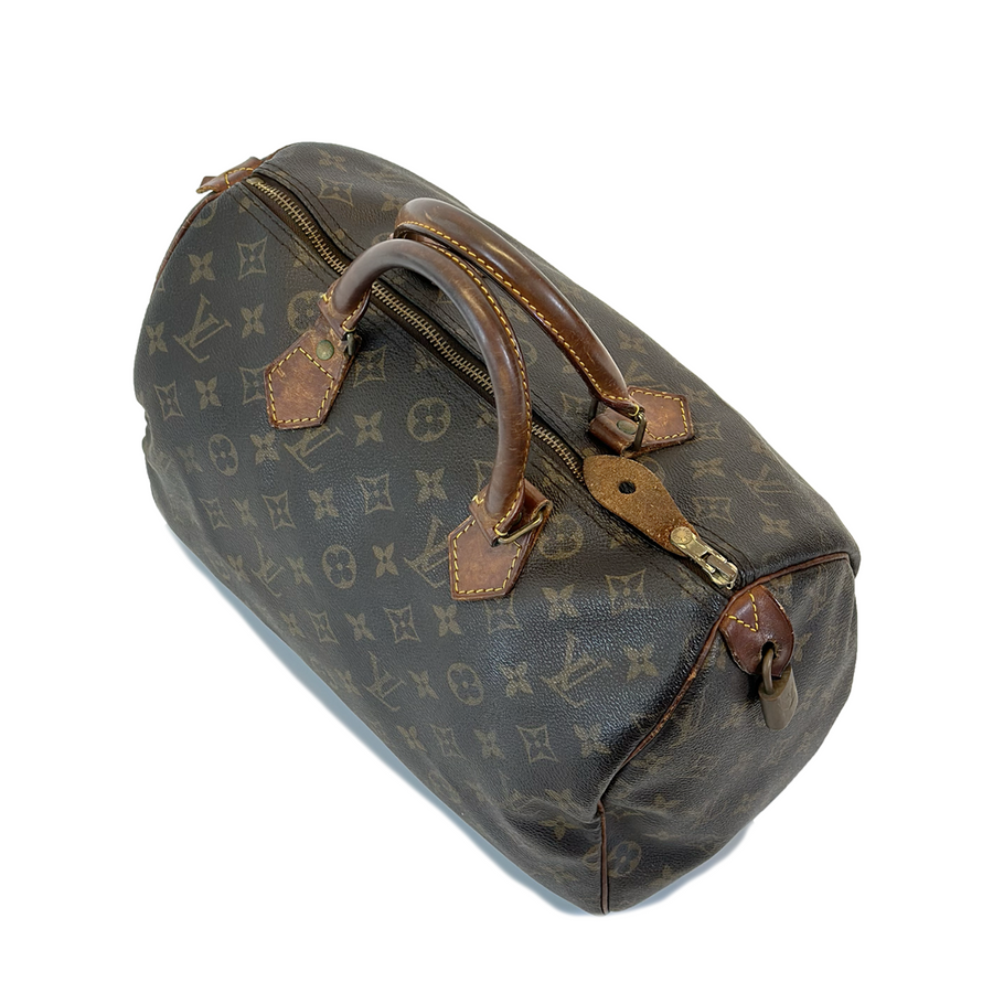 Louis Vuitton Speedy (30)