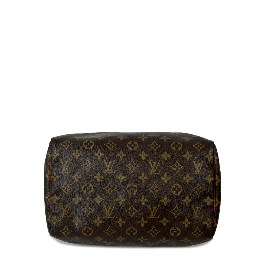 Louis Vuitton Speedy (30)