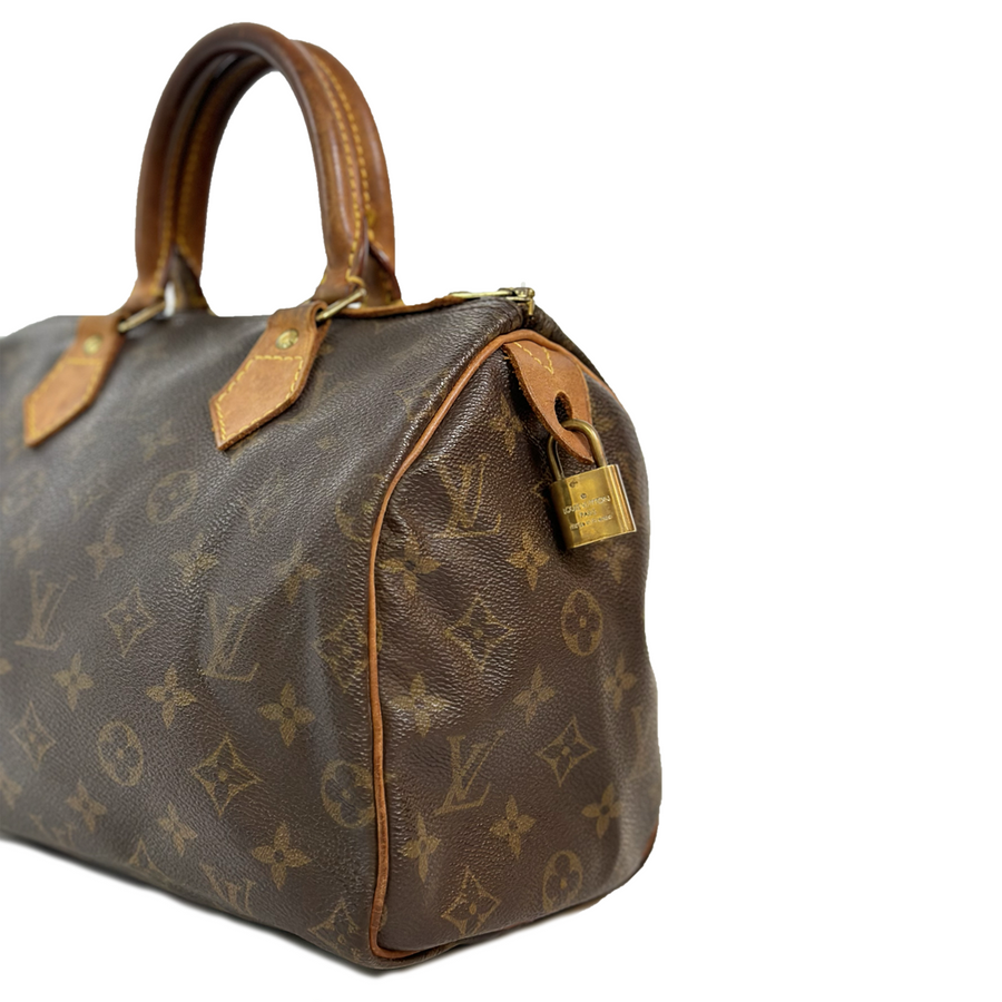 Louis Vuitton Speedy (25)