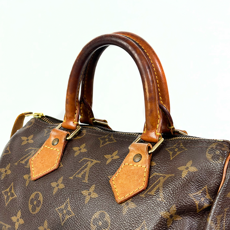 Louis Vuitton Speedy (25)