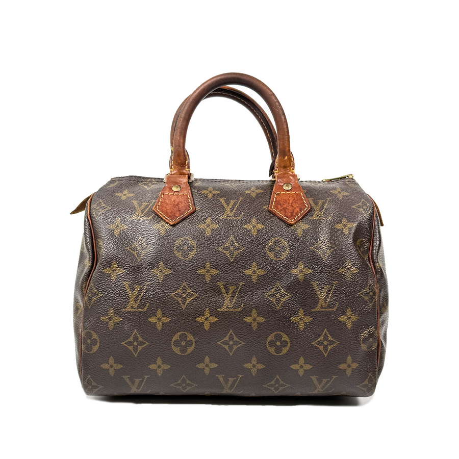 Louis Vuitton Speedy (25)
