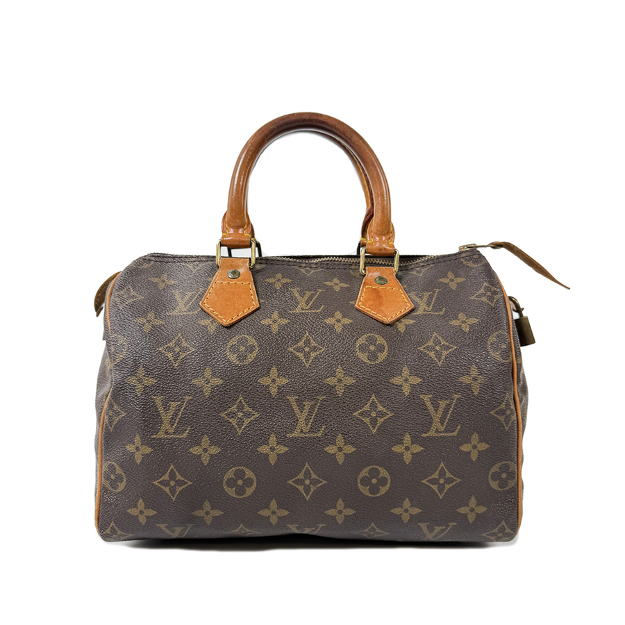 Louis Vuitton Speedy (25)