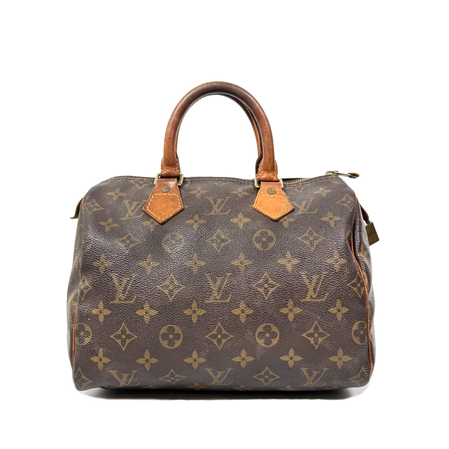 Louis Vuitton Speedy (25)
