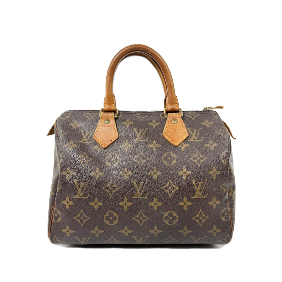 Louis Vuitton Speedy (25)