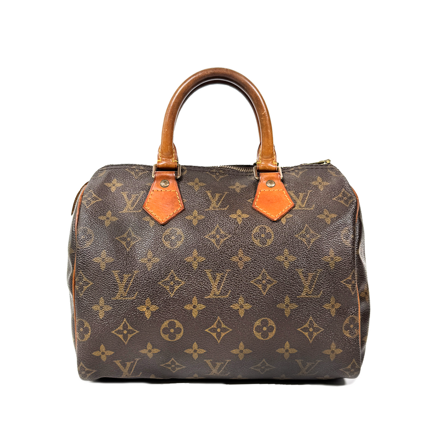 Louis Vuitton Speedy (25)